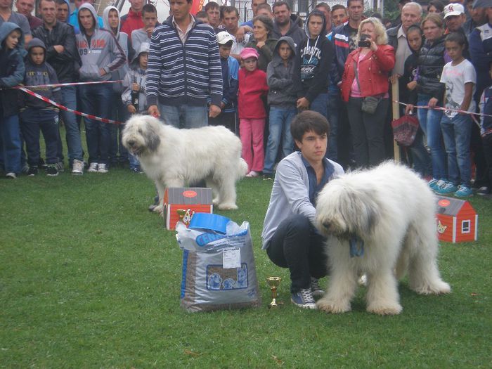 arcan si draga expopastoralis 2013 - Draga