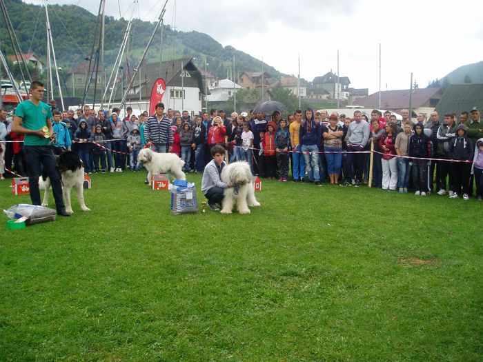 arcan si draga expopastoralis 2013 - Arcan