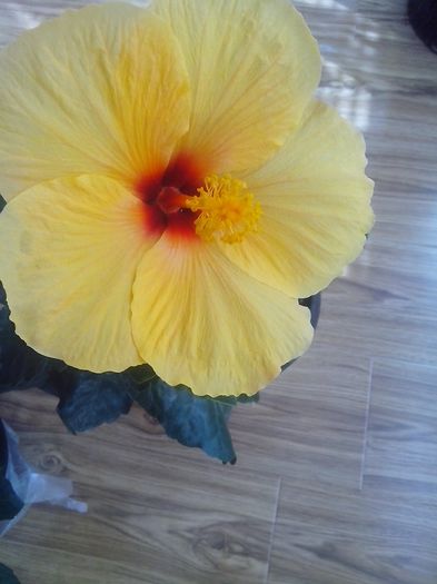 IMG_20130925_124909 - talmes-balmes 2013