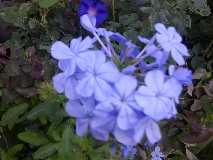 Fotografie4553 - talmes-balmes 2013