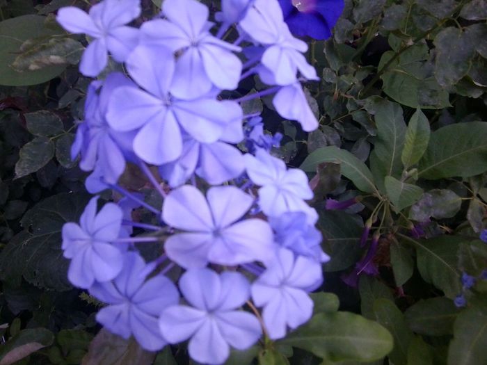 Fotografie4554 - talmes-balmes 2013