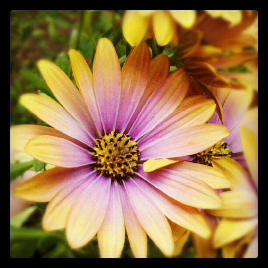 a2c9ebaaacef11e1989612313815112c_7