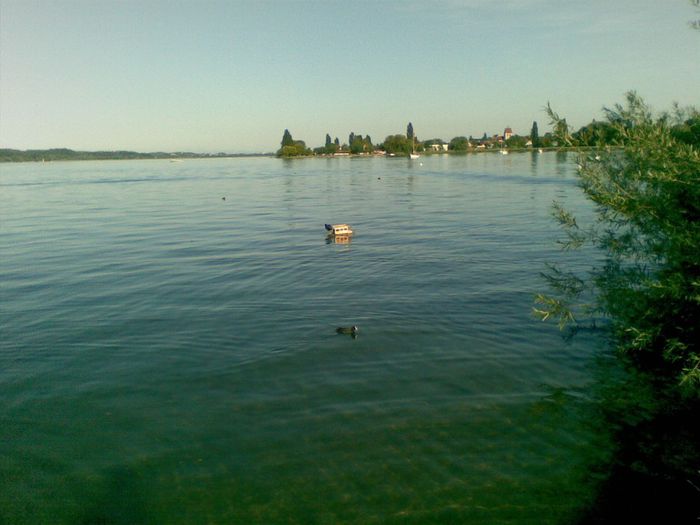 17062009(006) - 15- ROSIILE HIBRID PE CARE LE MANANCA GERMANII SI POZE FACUTE IN GERMANIA SI ELVETIA