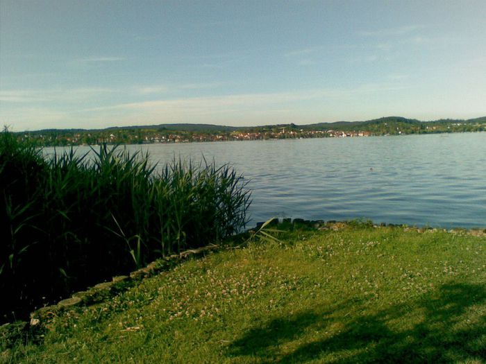 17062009(008) - 15- ROSIILE HIBRID PE CARE LE MANANCA GERMANII SI POZE FACUTE IN GERMANIA SI ELVETIA