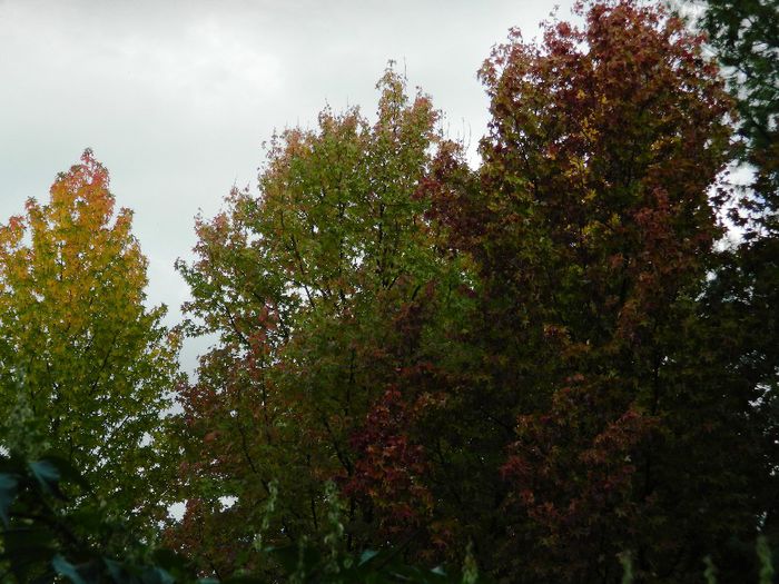 DSCN3171