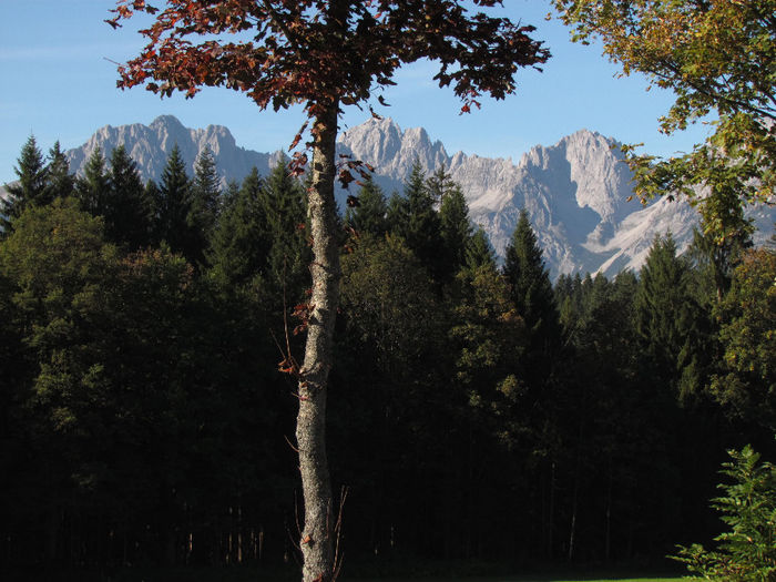 xx 163 - Vara-Toamna in Austria-Tirol
