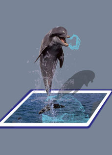 DOLPHIN 1 - Efect 3D Arta fotografica