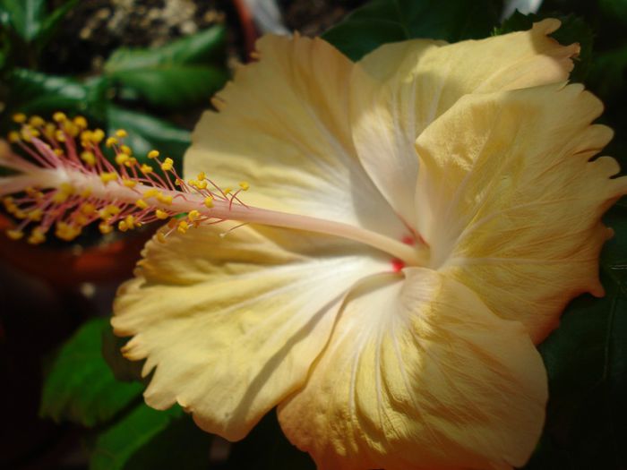 DSC09909