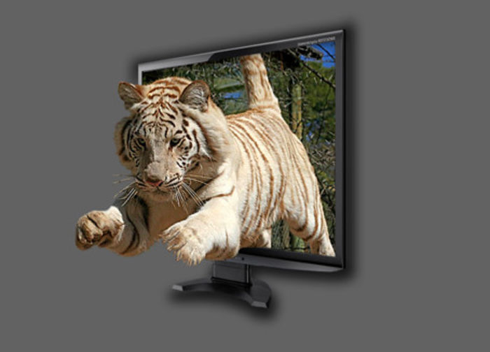 tiger-jumping-2 - Efect 3D Arta fotografica