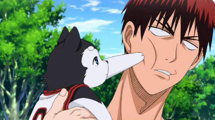 kagami 88