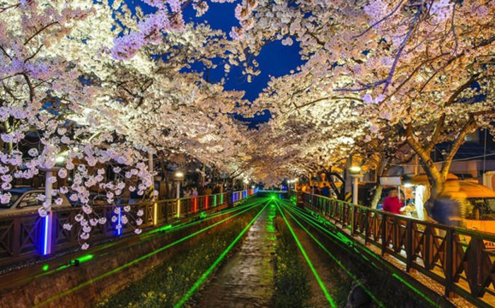 479964_504088566322483_1227660179_n - Jinhae