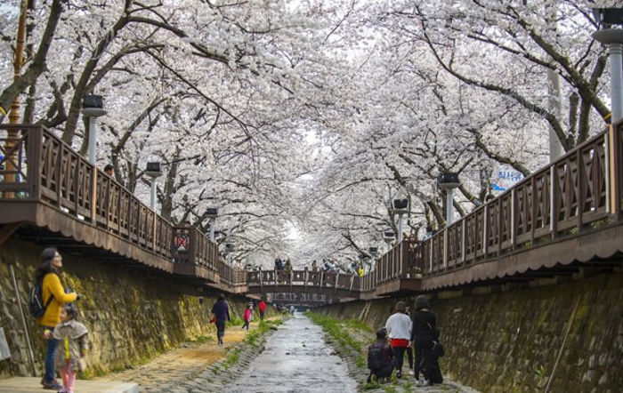 555869_504088529655820_417948706_n - Jinhae