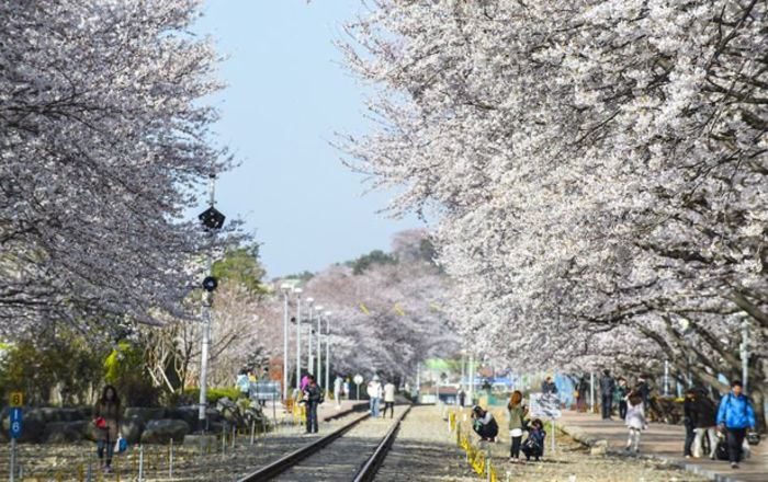 557965_504088522989154_1190445054_n - Jinhae