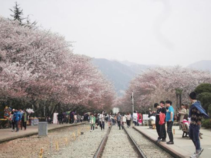 554007_504088706322469_86291125_n - Jinhae