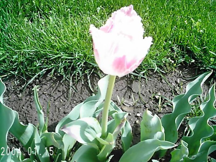 DCFC0214 - Copy - Copy