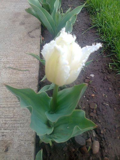 fotografie0085 - Copy - Copy