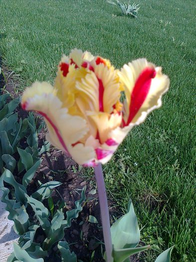 fotografie0087 - Copy - Copy