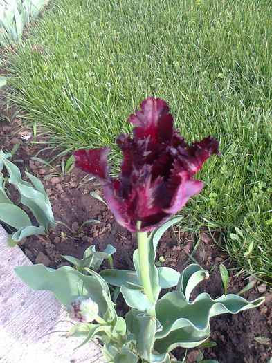 fotografie0091 - Copy - Copy