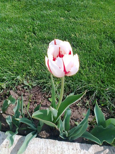 fotografie0094 - Copy - Copy