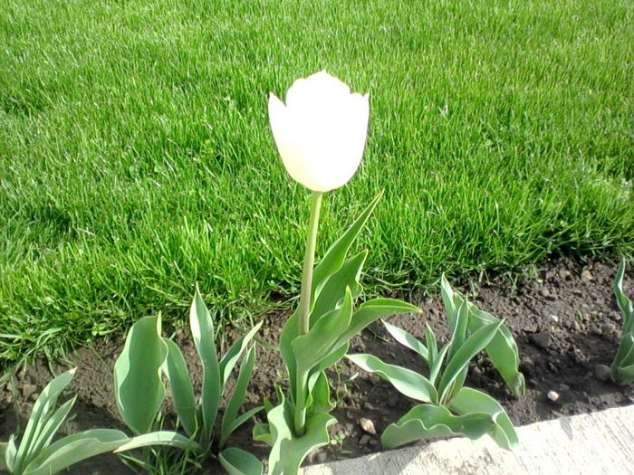 P170412_1643[02] - Copy