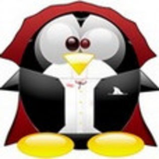 linux573 - www.avatareselecte.com - Linux Penguins