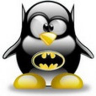 linux305 - www.avatareselecte.com - Linux Penguins