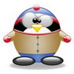 linux574 - www.avatareselecte.com - Linux Penguins