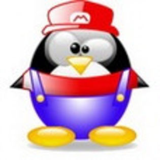 linux568 - www.avatareselecte.com - Linux Penguins