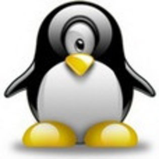 linux576 - www.avatareselecte.com - Linux Penguins