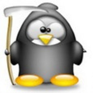linux303 - www.avatareselecte.com - Linux Penguins