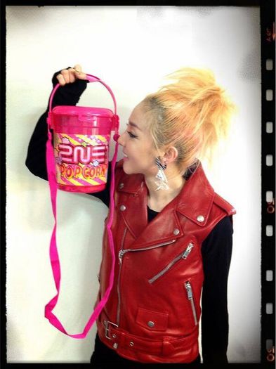 53 - 2NE1 9