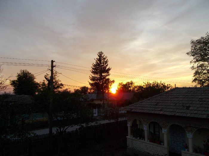 DSCN0259