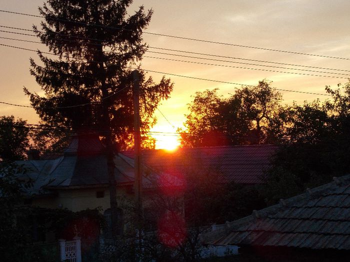 DSCN0260