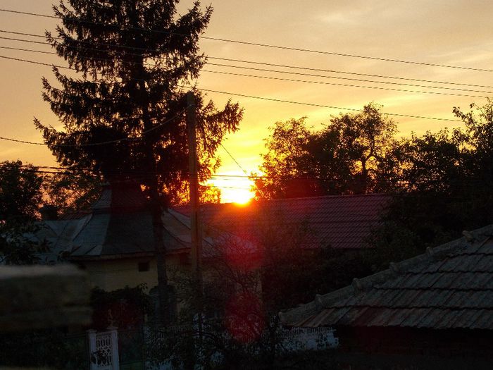 DSCN0261