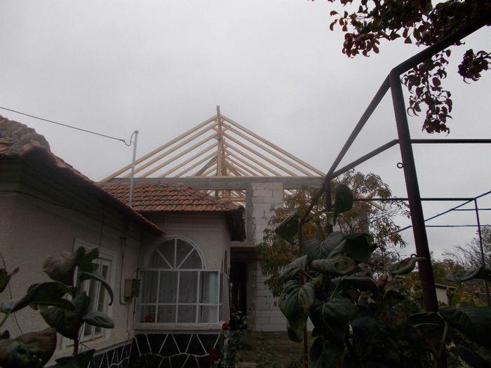 DSCN0358