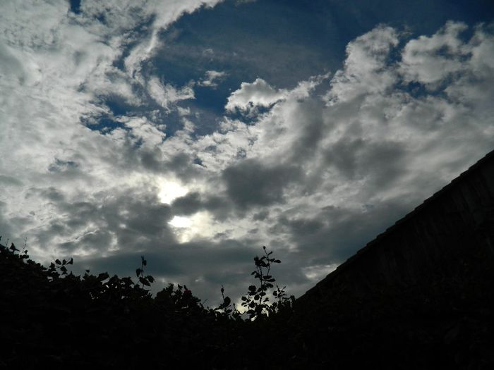 DSCN3995