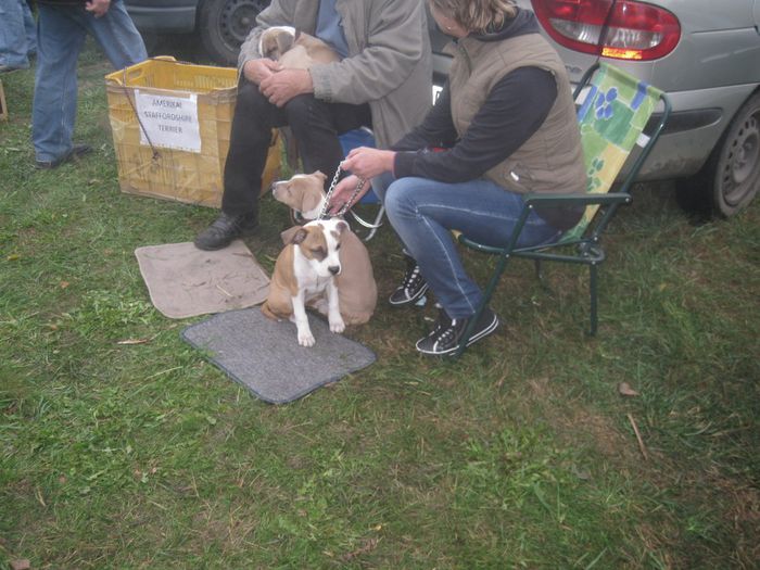 IMG_2539 - Monor 13-10-2013