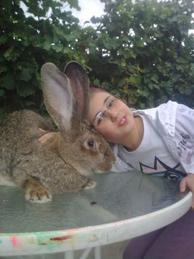 2 iepuroaice una de 8 luni si una de 9 ani