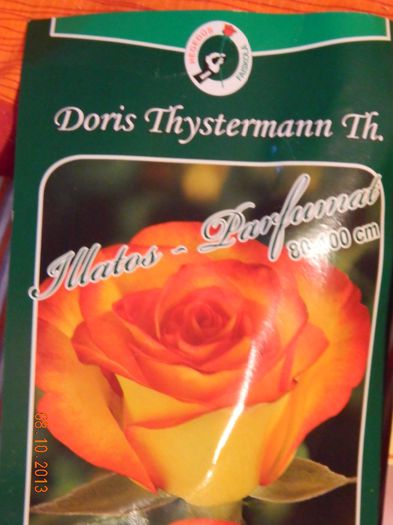 DSCN5551 - 0 Achizitii  2012 2013 2014