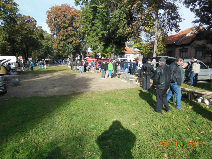 DSCN4867