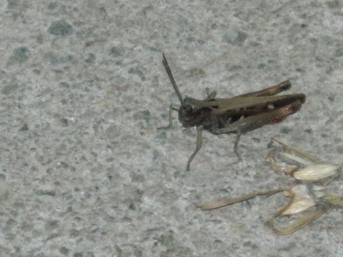 DSCN4193