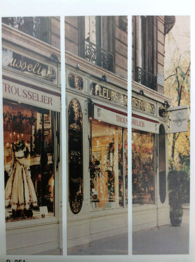paravan-decorativ-camera-magazine-paris - Paravane decorative si despartitoare Juliana