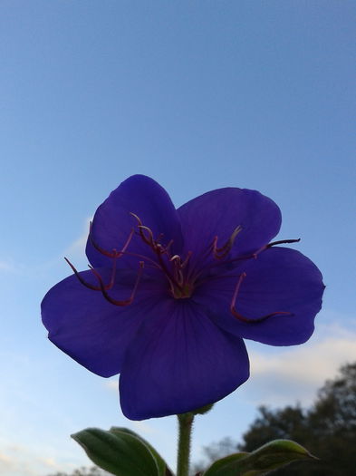 2013-10-13 08.38.10