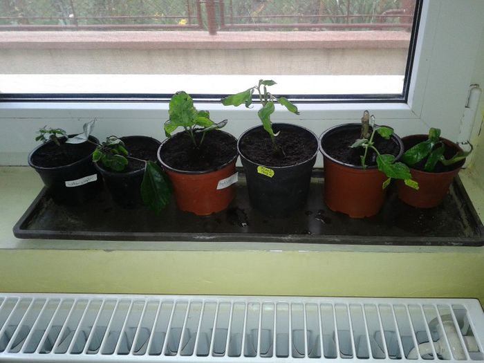 Olguta sintem la locul nostru!Multumesc