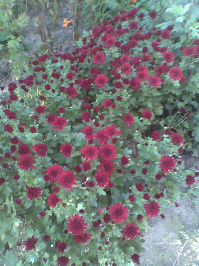 Imag039