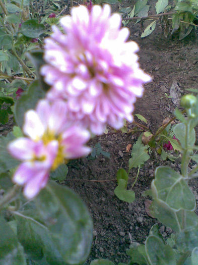 Imag042