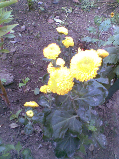 Imag043