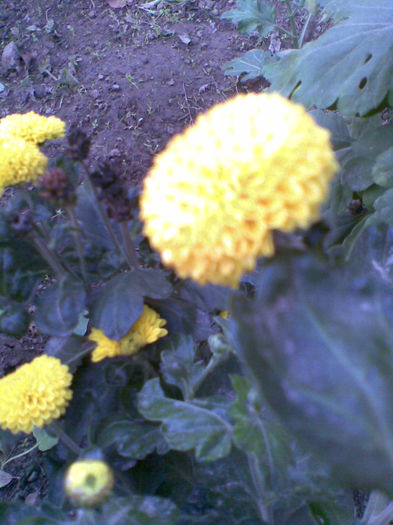 Imag044