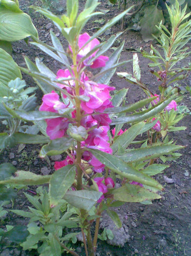 Imag045