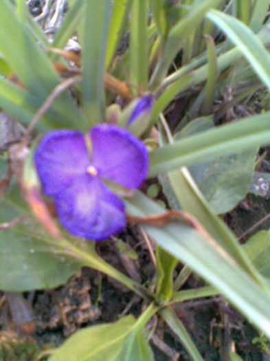 Imag047